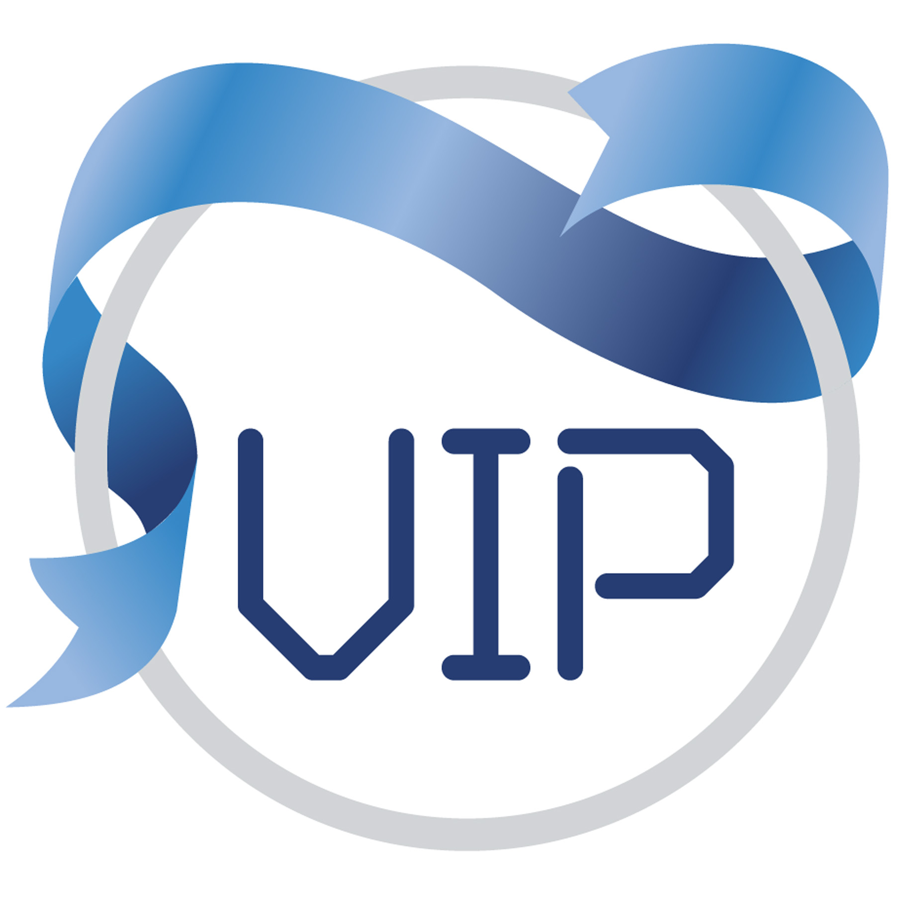 Visionary Independence Program